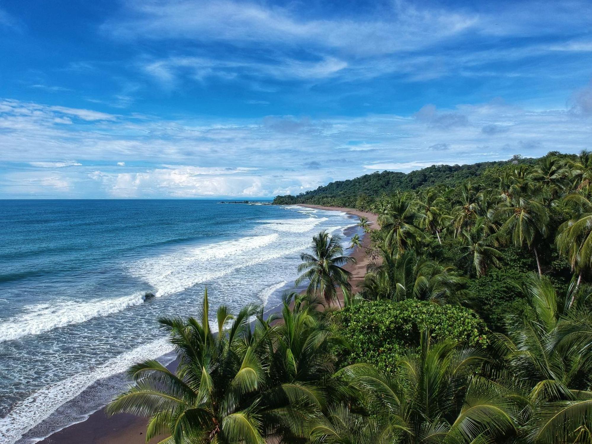 Bella Vista Corcovado Hotel Drake Bay Exterior photo