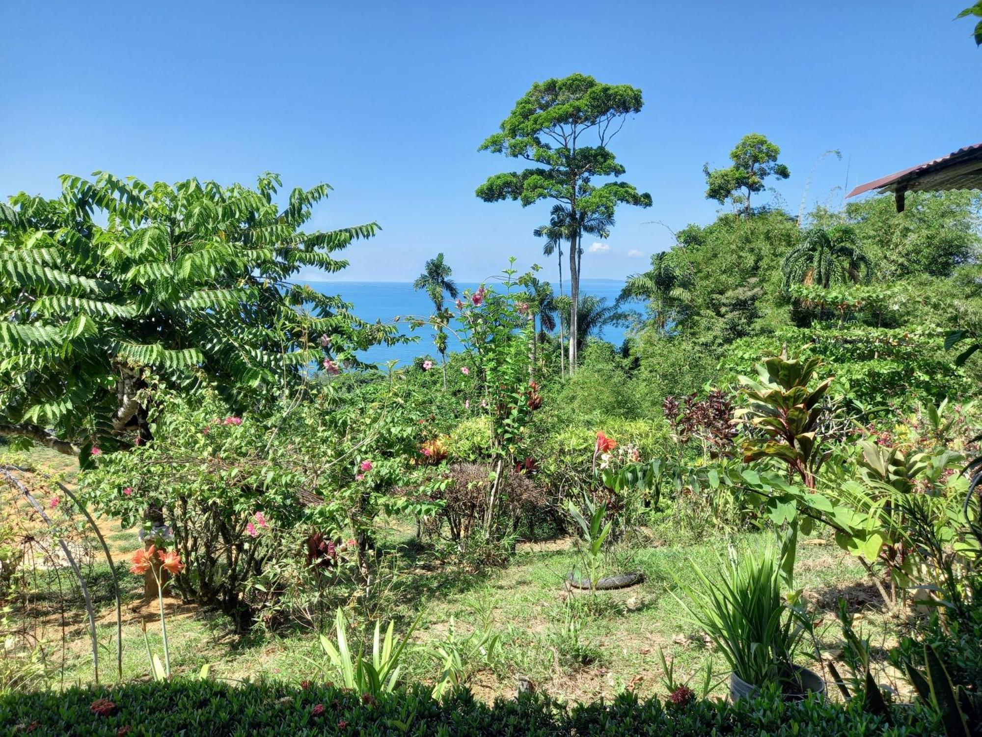 Bella Vista Corcovado Hotel Drake Bay Room photo