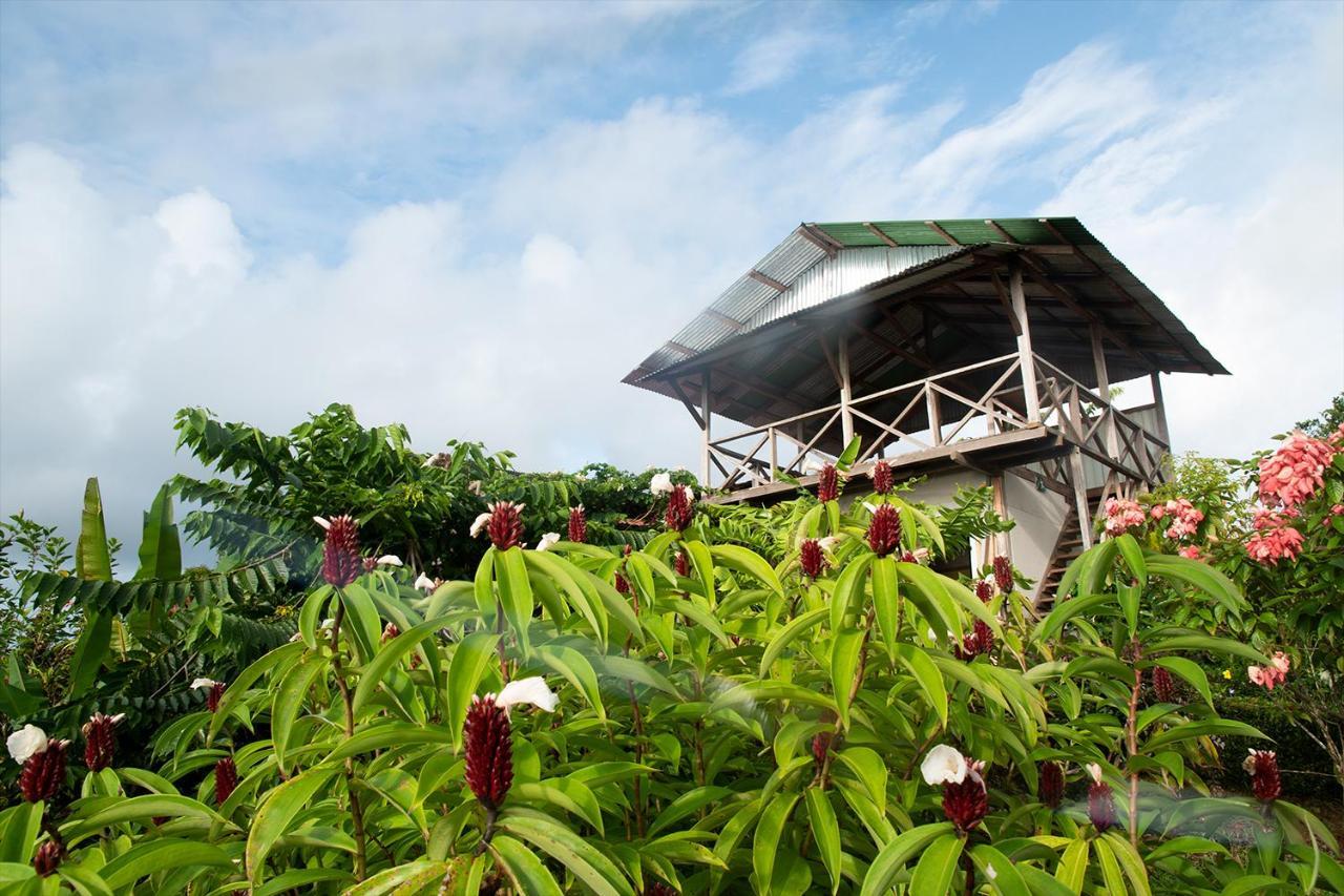 Bella Vista Corcovado Hotel Drake Bay Exterior photo